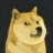 MyDoge logo